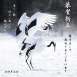 新年　明けましておめでとうございます